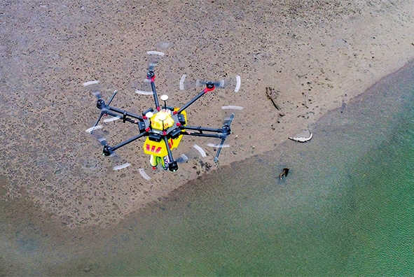 Die in Australien entwickelte West­pac-Little-Ripper-Drohne «Croc­Spotter» erkennt Kroko­dile an deren typischem Bewegungs­muster.